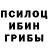 Псилоцибиновые грибы MAGIC MUSHROOMS Lucid Boar