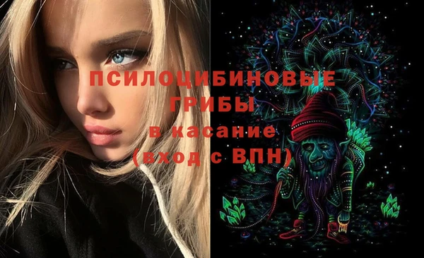 альфа пвп Беломорск