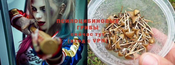 mdpv Белокуриха