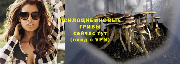 прущие крисы Белоозёрский