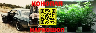 винт Донецк