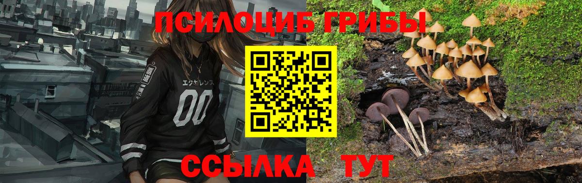 Галлюциногенные грибы мицелий  как найти   Бирск  Вход с VPN 